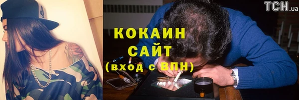 мет Гусев