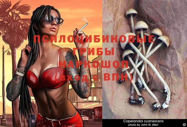а пвп мука Гусиноозёрск