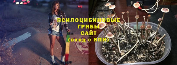 а пвп мука Гусиноозёрск