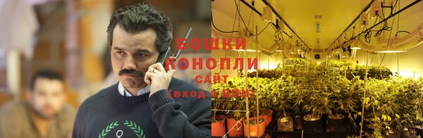 а пвп мука Гусиноозёрск