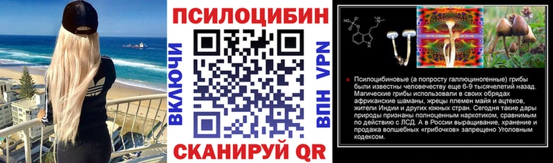 Купить закладки  Шацк  Псилоцибиновые грибы Cubensis 
