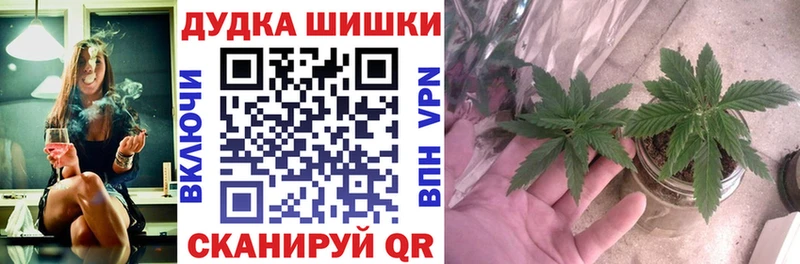 Каннабис план  Купить закладки  Шацк 